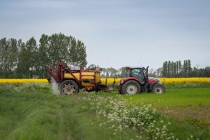 育毛剤の効果を実感するための期間はどのくらい？