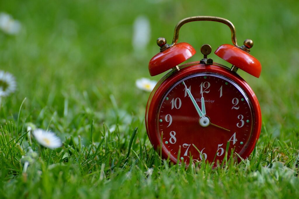 育毛効果を実感するにはどれくらいの時間がかかるの？