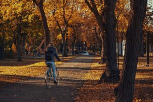 薄毛でもウィッグを使ってバレない方法は？