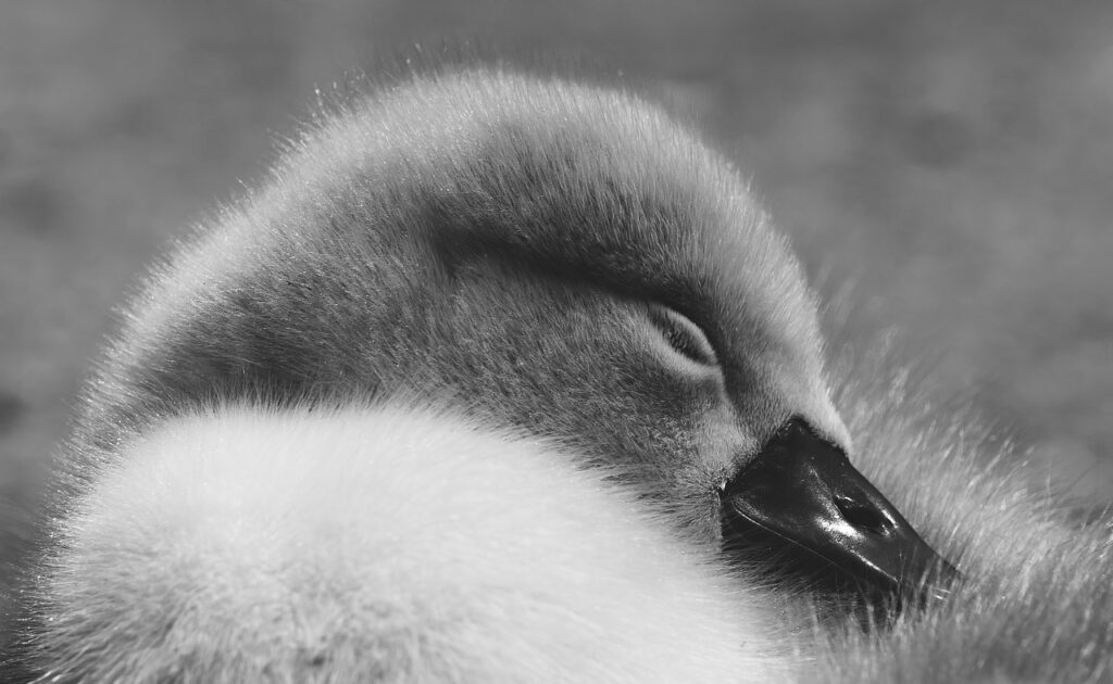 睡眠による薄毛改善のための効果的な方法は？