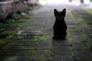 細い髪を太くする方法はどれが効果的？