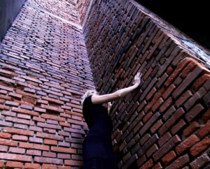 髪の毛を増やすために女性が食べるべき食べ物は？
