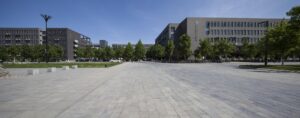 市販の育毛剤は女性に効果的？