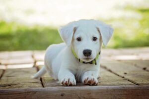 横はげの隠し方に効果的なスタイリング方法は？