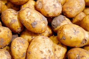 白髪予防の食べ物にはどんなものがあるの？