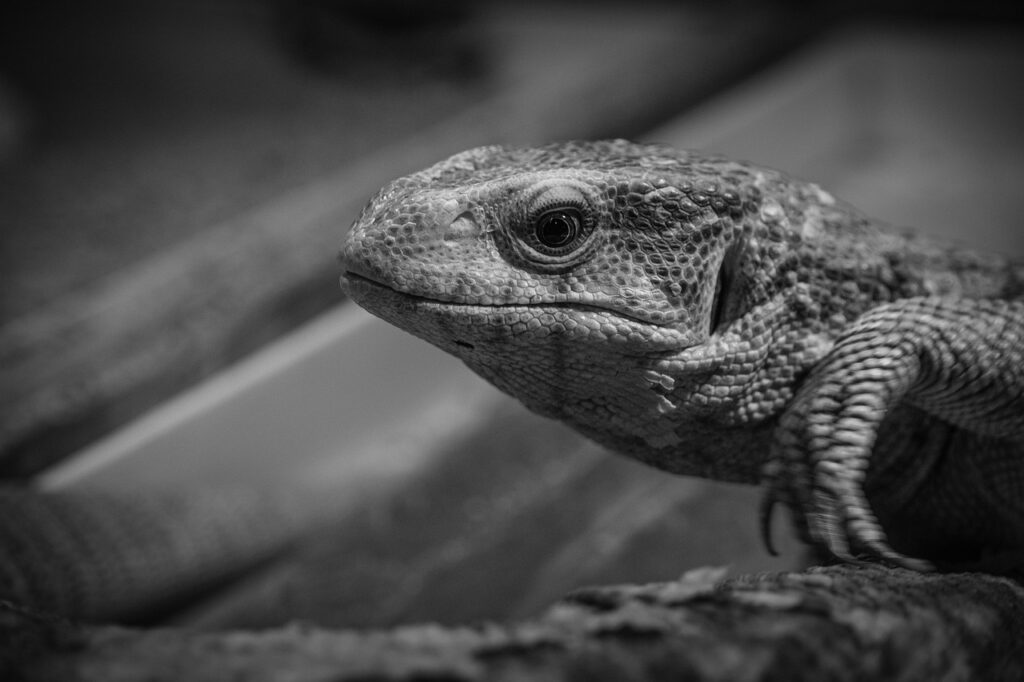 白髪染めと薄毛を同時に解決する方法は？