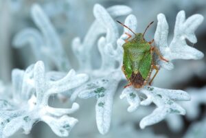 育毛剤の使い方を徹底解説！効果を最大限に引き出すポイントは？