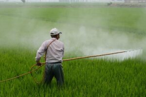 育毛剤の使い方を正しく理解するためのポイントは？