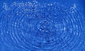 育毛サプリの効果は女性にどのように影響するのか？