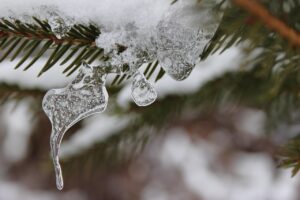 頭皮のニオイと薄毛の原因は何ですか？