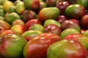 育毛剤の成分を比較するときに知っておくべきポイントは？